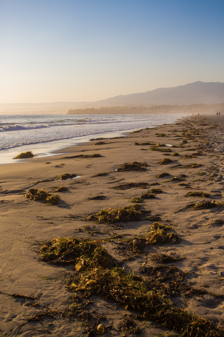Beginnings Image of Beach